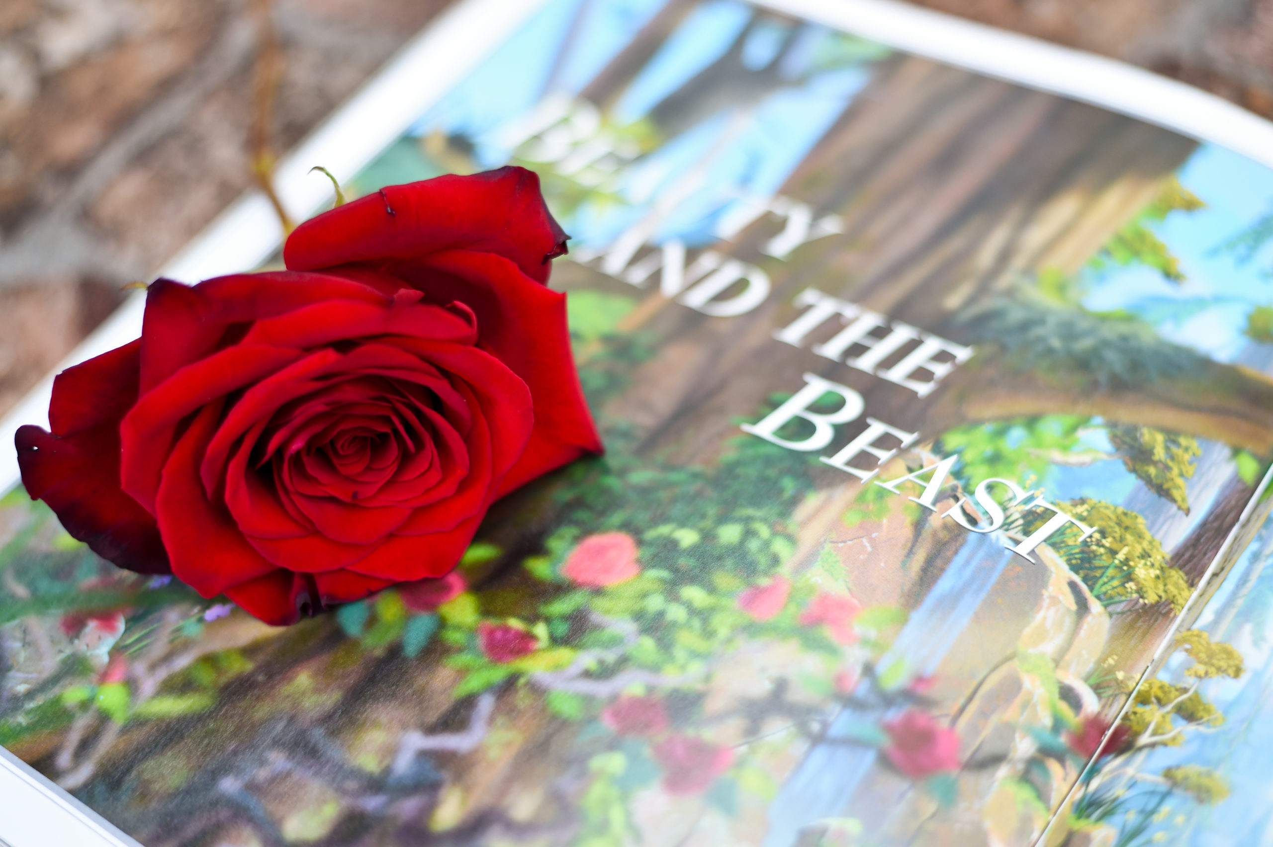Looking for Disney wedding ideas? This Beauty and the Beast wedding even featured the classic story book with the infamous single stemmed red rose
