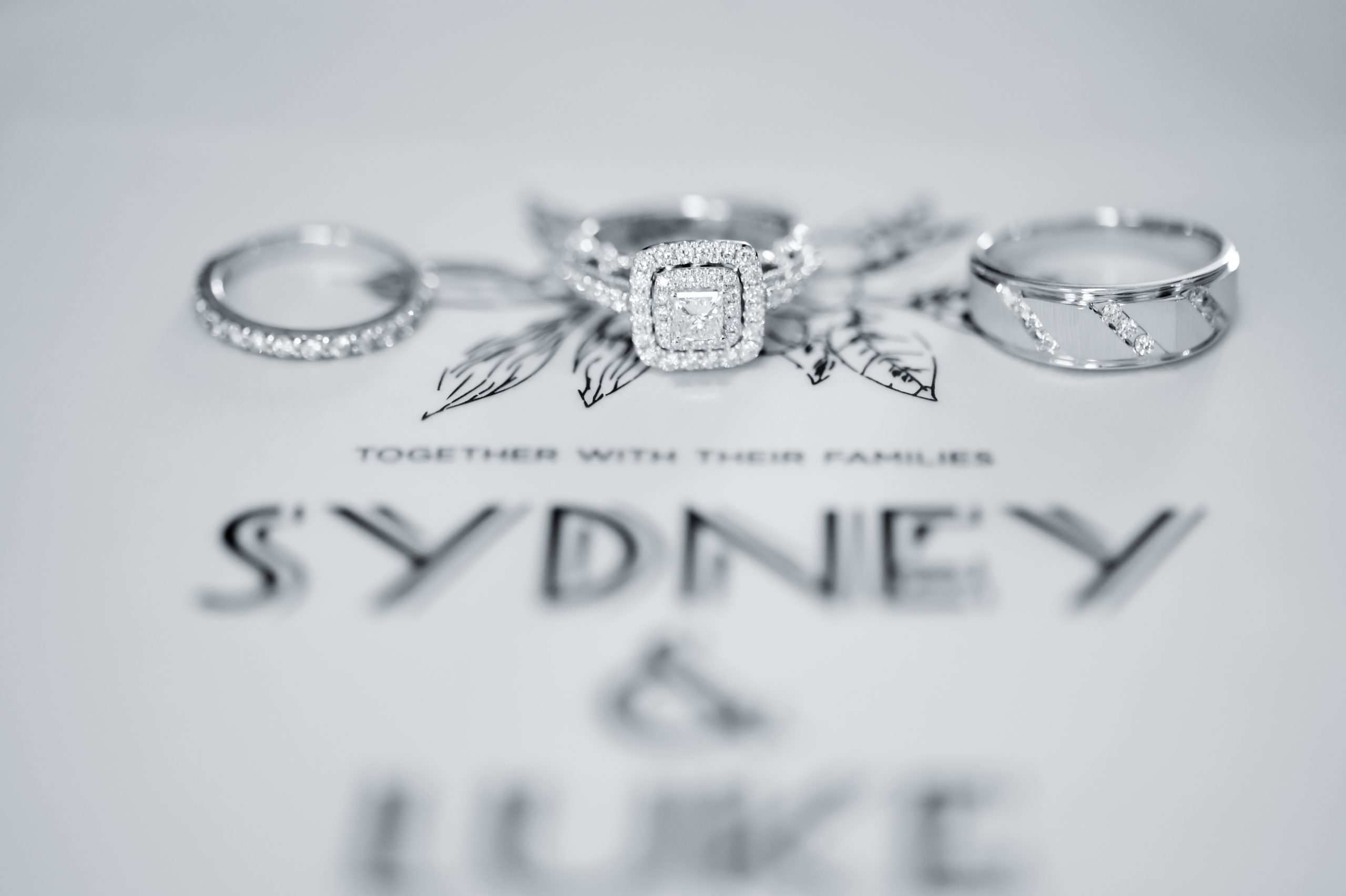 The stunning wedding rings displayed on the vellum invitaion
