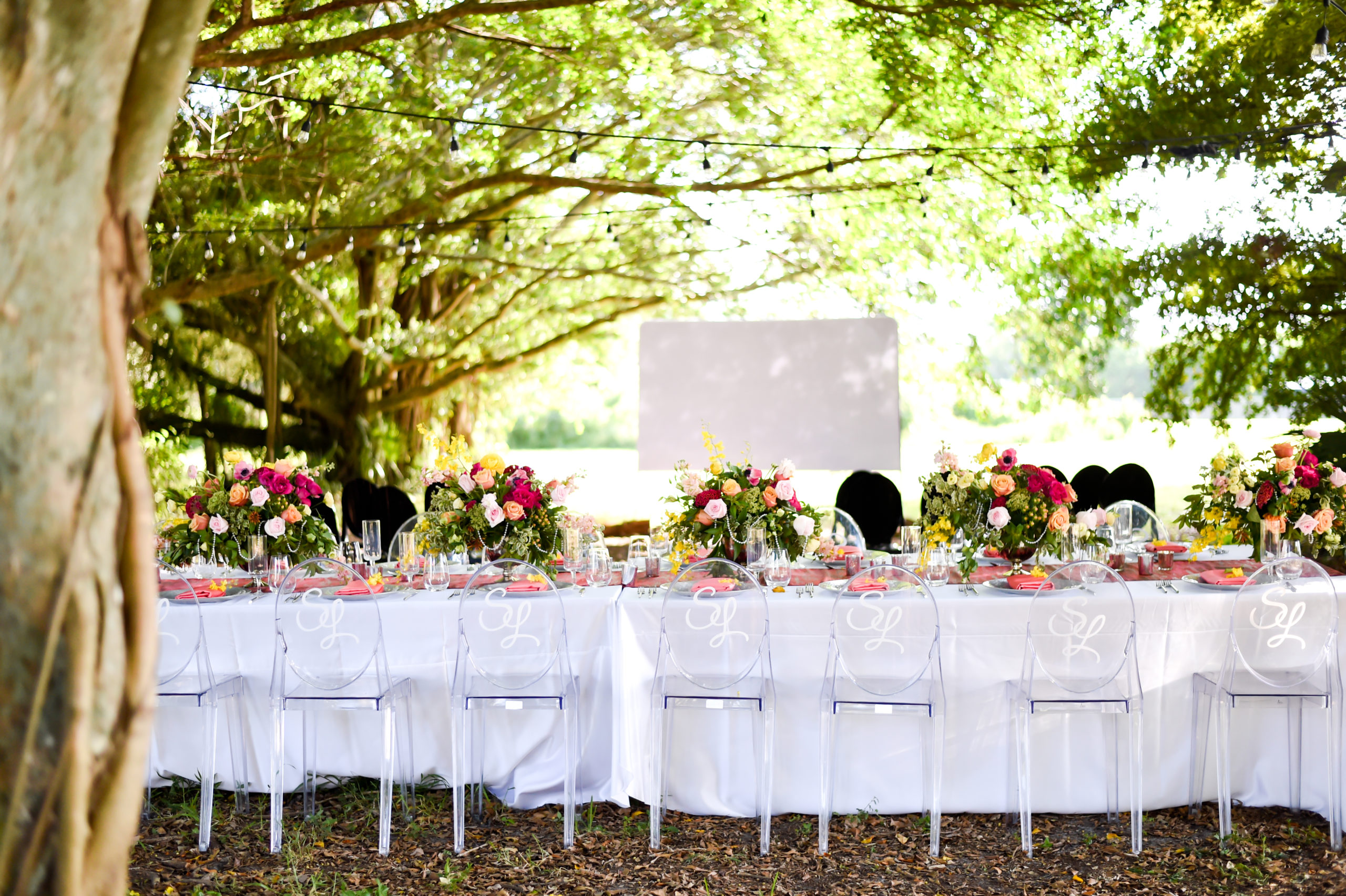 The outdoor wedding by Oh My Occasions has one long royal table with ghost chairs with vinyl decal infant of a projector screen and underneath bistro lights