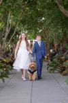 dog ring bearer in a wedding tuxedo walks down the aisle